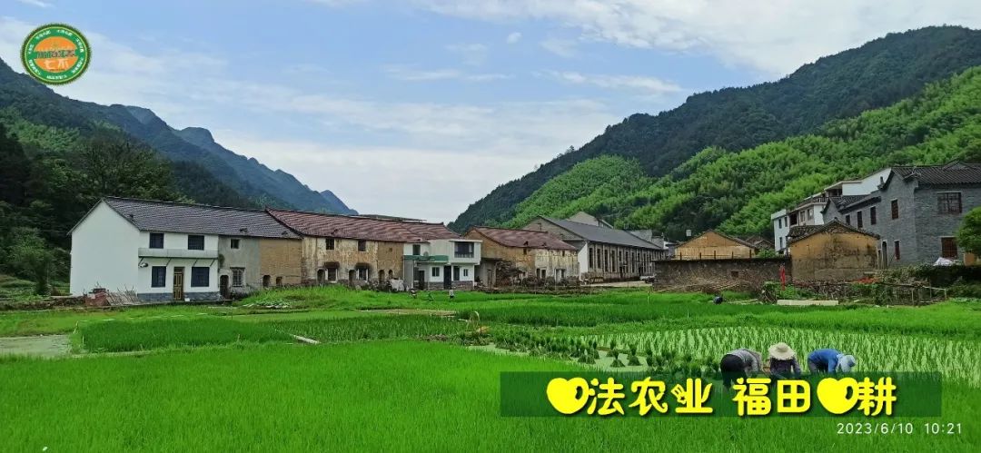 (●'◡'●)6月庆祝春播春种顺利完成！ 姜膏姜油 端午糯米 会员积分换购特惠 ，2023预售大米 会员折上折 6.18折