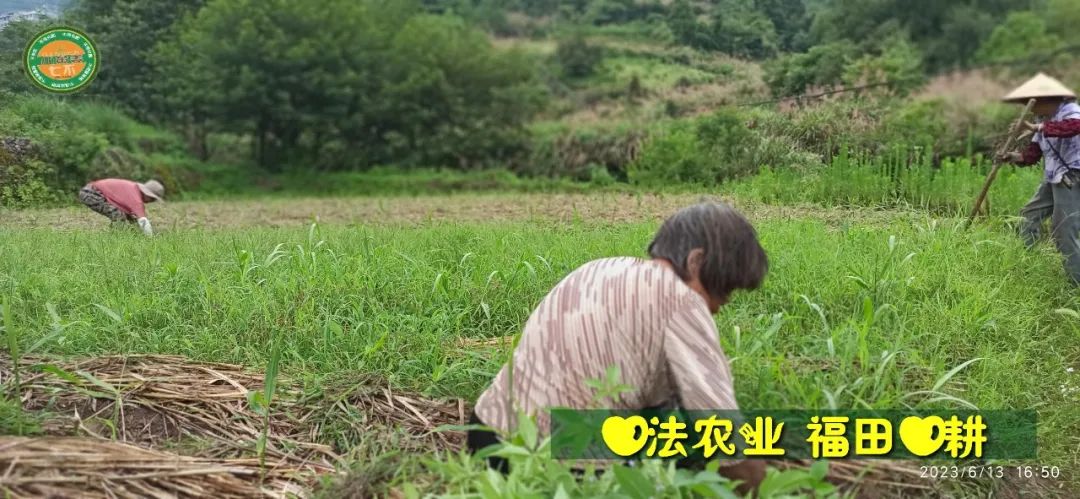 (●'◡'●)6月庆祝春播春种顺利完成！ 姜膏姜油 端午糯米 会员积分换购特惠 ，2023预售大米 会员折上折 6.18折