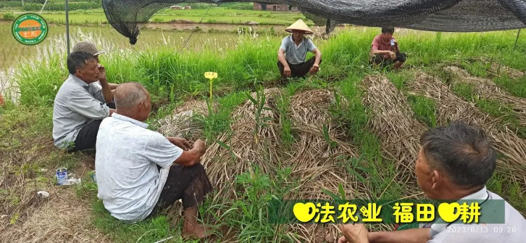 (●'◡'●)6月庆祝春播春种顺利完成！ 姜膏姜油 端午糯米 会员积分换购特惠 ，2023预售大米 会员折上折 6.18折