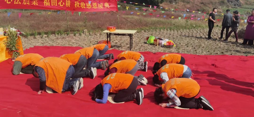 秋收节感恩什么？（浙江仙居七不姜 欢喜农耕 心悦自然 ）