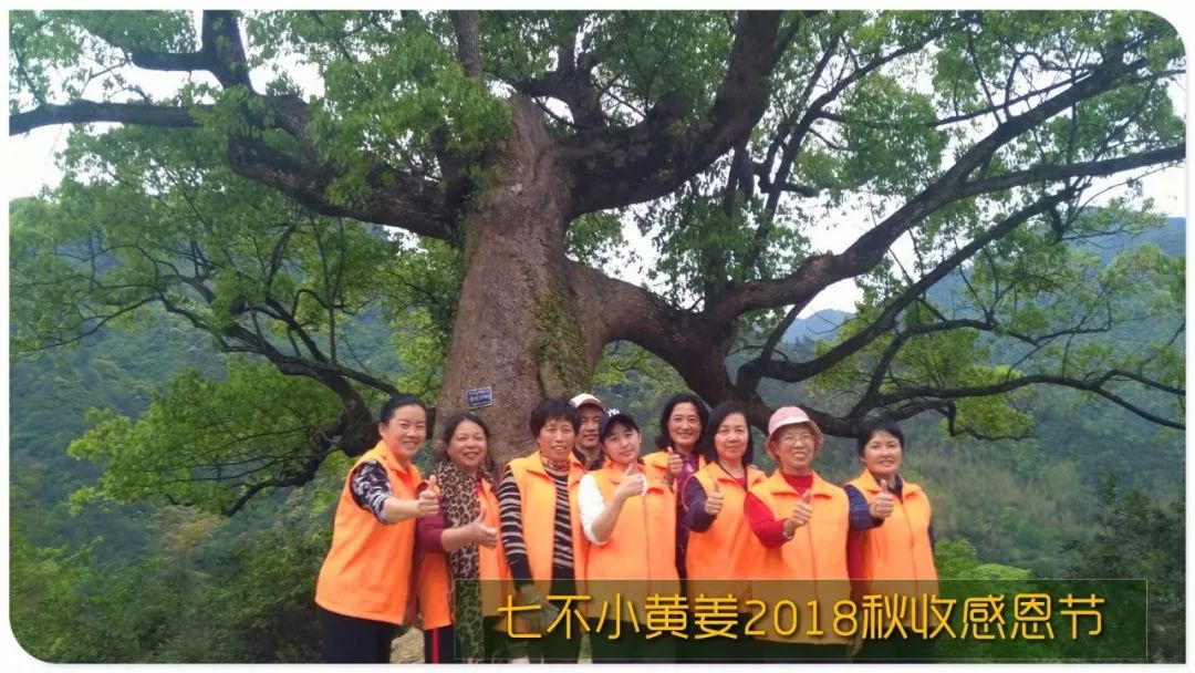 秋收节感恩什么？（浙江仙居七不姜 欢喜农耕 心悦自然 ）