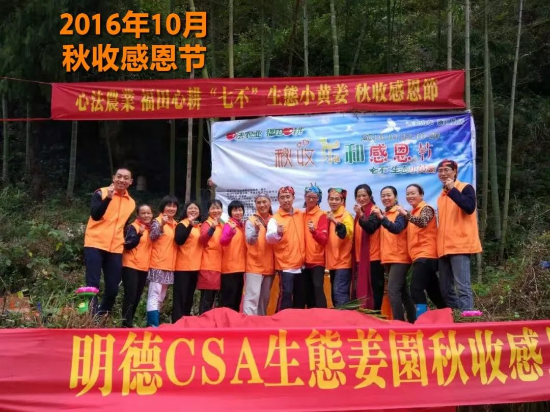 秋收节感恩什么？（浙江仙居七不姜 欢喜农耕 心悦自然 ）