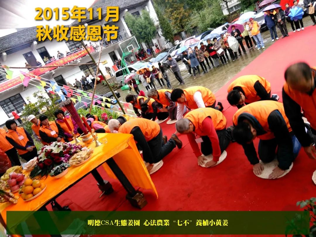 秋收节感恩什么？（浙江仙居七不姜 欢喜农耕 心悦自然 ）