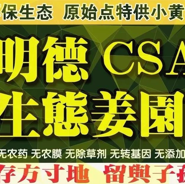 心法农业 福田心耕 明安事业繁荣祈祷文2022.11-七不姜 生姜养生网-明德CSA生态姜园&明安农业