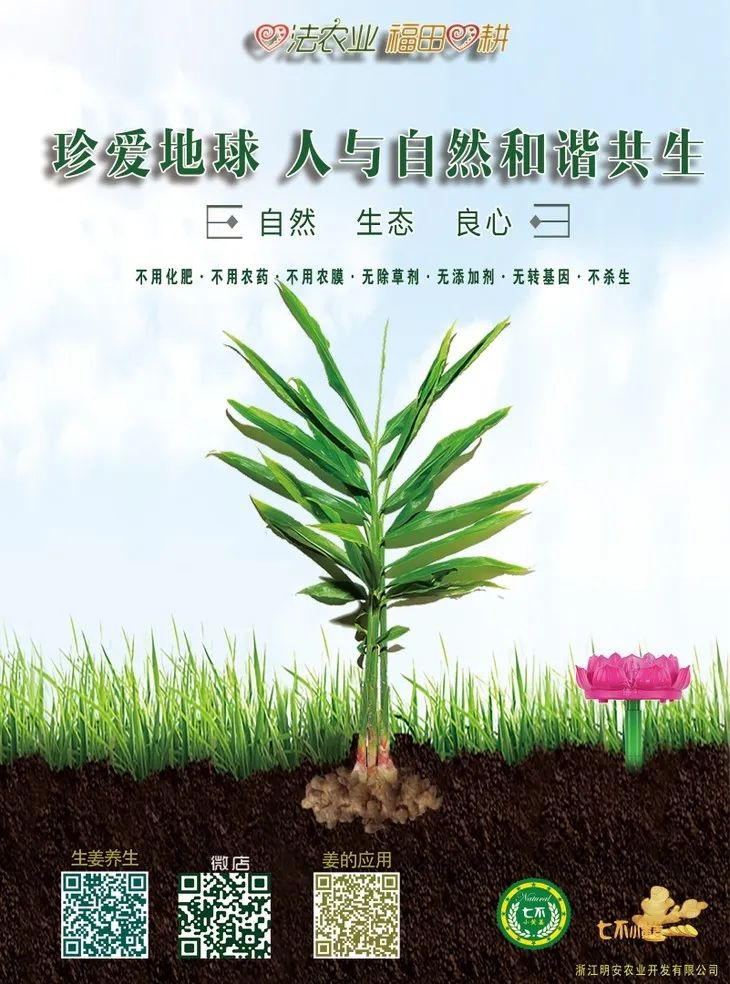 小黄姜618年中特惠-部分姜片姜粉姜丸满199元减50元，年中诚意让利助力防疫，愿七不姜温暖您身心！恭祝平安健康快乐！