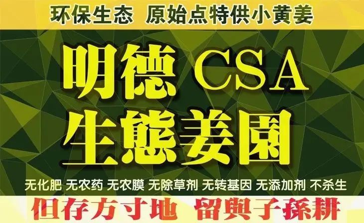 亲！您有多少姜积分？！春节促销特惠优惠劵折扣特惠！送日历海报姜汤保温杯！暖心暖身~