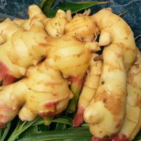 亲！您有多少姜积分？！春节促销特惠优惠劵折扣特惠！送日历海报姜汤保温杯！暖心暖身~