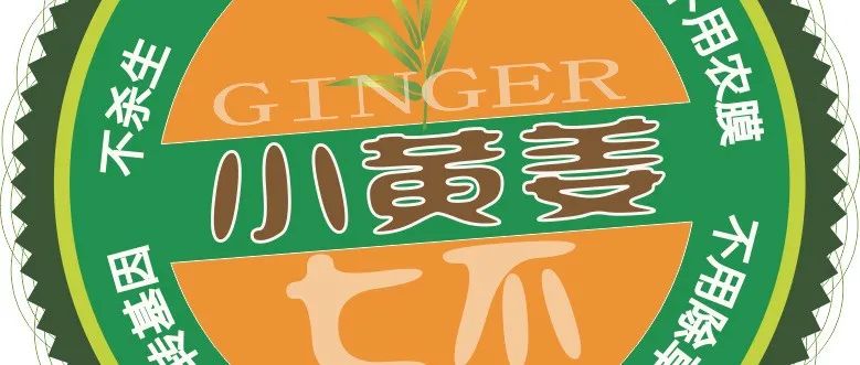 亲！您有多少姜积分？！春节促销特惠优惠劵折扣特惠！送日历海报姜汤保温杯！暖心暖身~