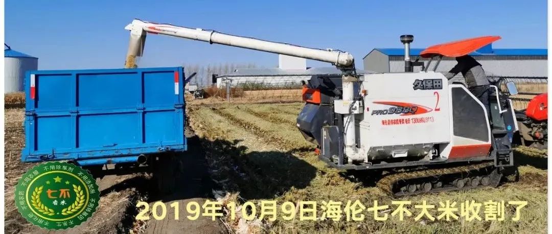 亲！您有多少姜积分？！春节促销特惠优惠劵折扣特惠！送日历海报姜汤保温杯！暖心暖身~