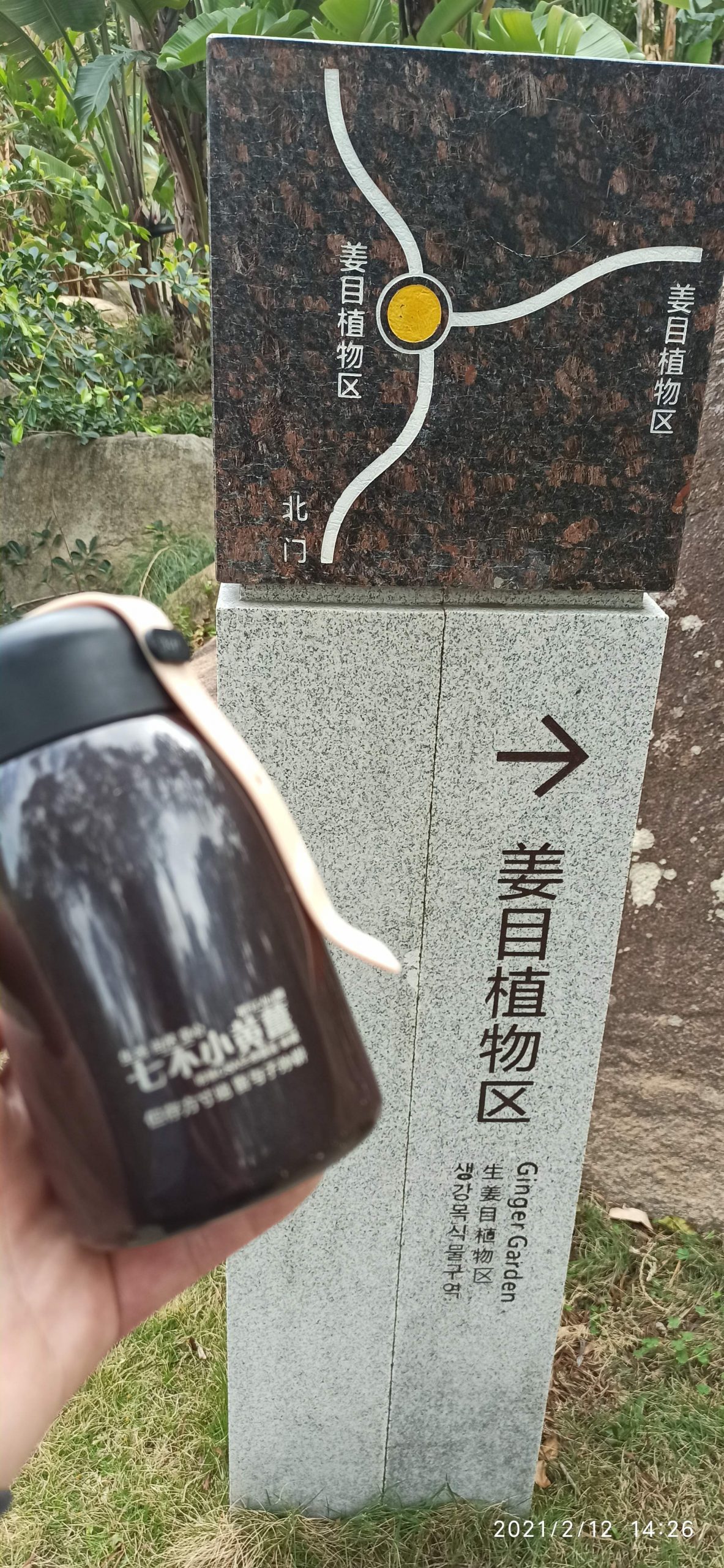 帶你看姜目園 廈門市園林植物園姜目植物區 驚艷!300多種姜目植物爭相開放2021.2-七不姜 生姜養生網-明德CSA生態姜園&明安農業