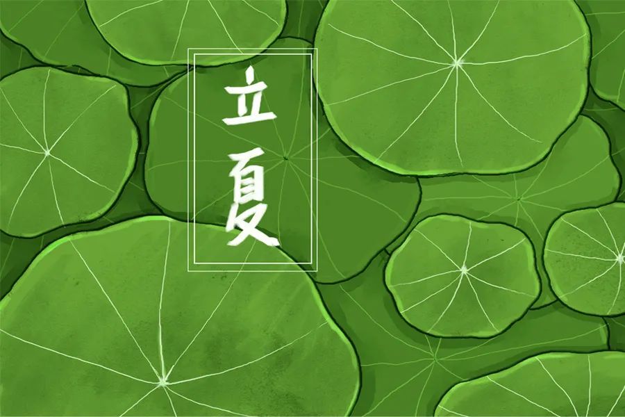 神州姜窖 | 立夏 春逝夏始