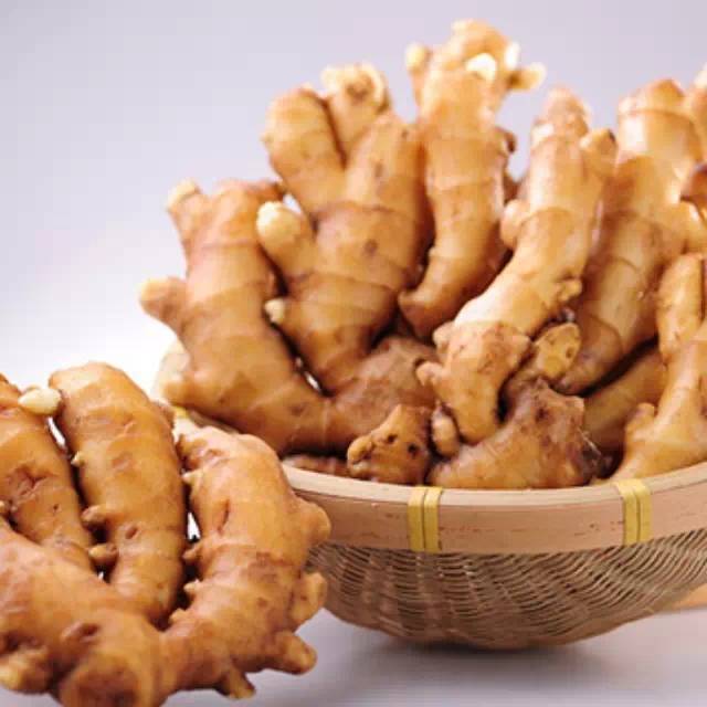 湿地养生 |  冬吃萝卜，夏吃姜！这样吃姜最健康（附食谱）