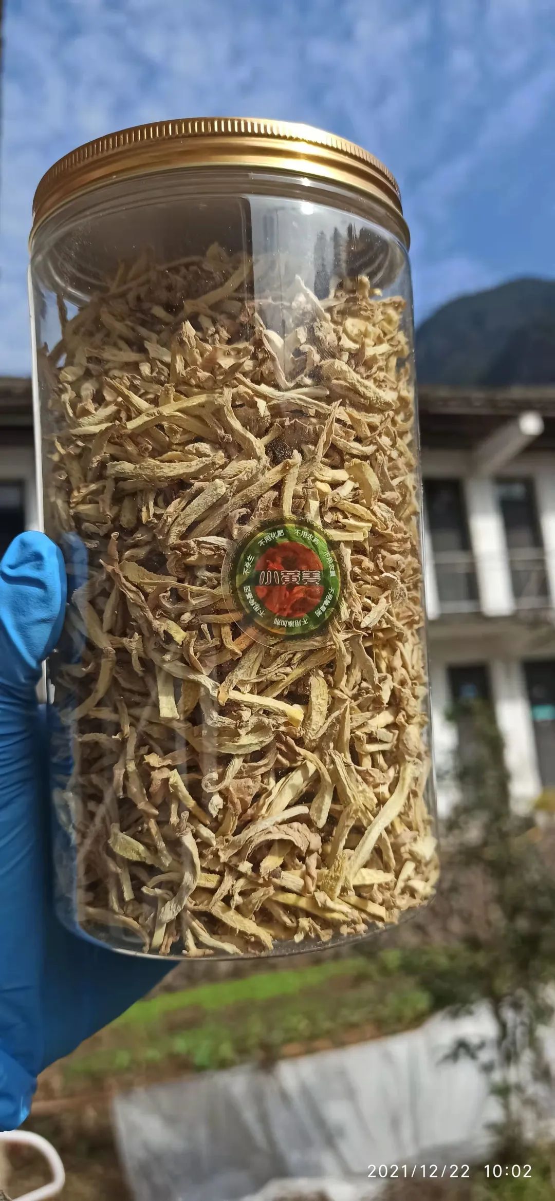 明安农业五月种七不水稻了。六月端午别忘吃粽子。买糯米要七不种植的...自然生态超越有机！七不姜优惠发劵