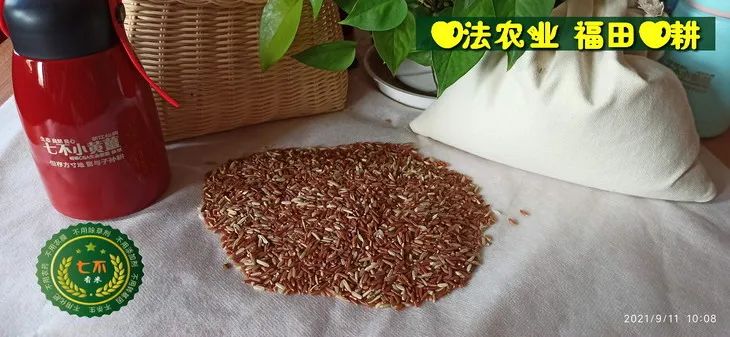 预定有礼-订购大米送生姜。2022年秋收浙江仙居新米⑤红籼米④黑米⑨勇优12粳米⑥糯米⑩香米华优18籼米 ⑾嘉丰优2号籼米 预定有礼-订购大米送生姜。2022年秋收浙江仙居新米⑤红籼米④黑米⑨勇优12粳米⑥糯米⑩香米华优18籼米 ⑾嘉丰优2号籼米