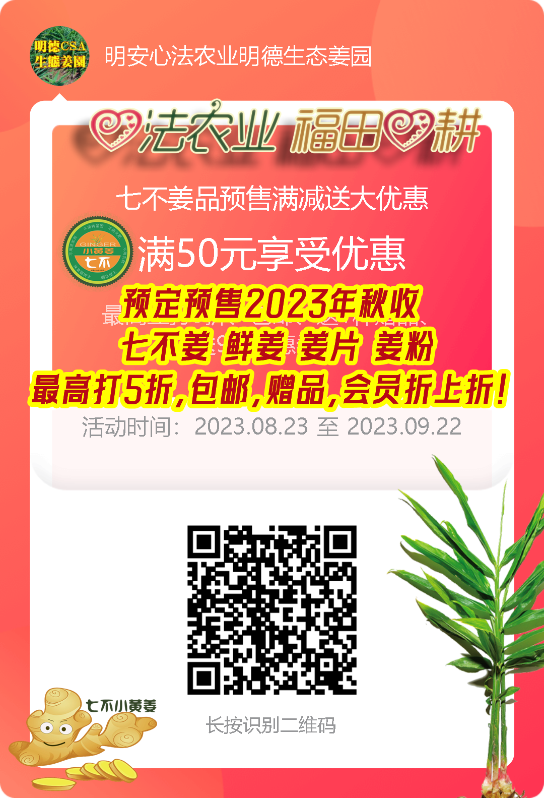 浙江仙居 七不姜 鲜姜 姜片 姜粉秋收 五折预售特惠 2023.8