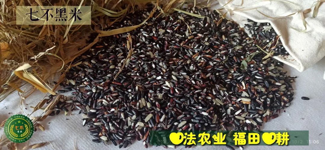 预定有礼-订购大米送生姜。2022年秋收浙江仙居新米⑤红籼米④黑米⑨勇优12粳米⑥糯米⑩香米华优18籼米 ⑾嘉丰优2号籼米 预定有礼-订购大米送生姜。2022年秋收浙江仙居新米⑤红籼米④黑米⑨勇优12粳米⑥糯米⑩香米华优18籼米 ⑾嘉丰优2号籼米