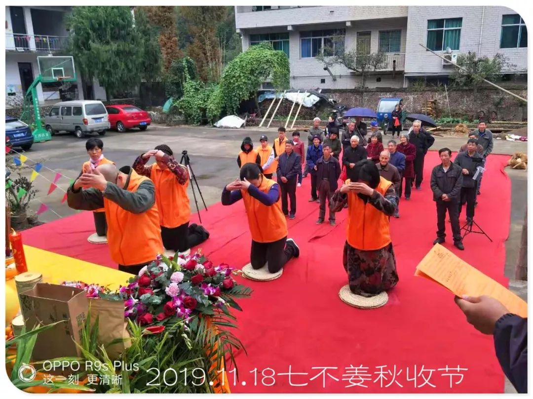 秋收节感恩什么？（浙江仙居七不姜 欢喜农耕 心悦自然 ）