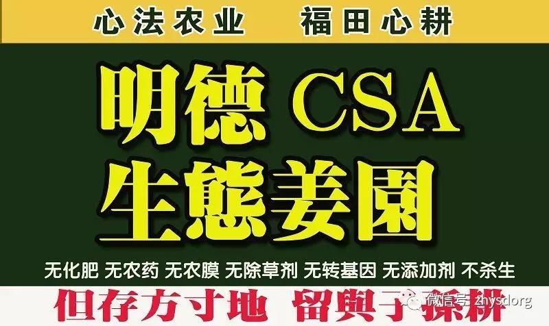 原始点内热源 姜的应用（小黄姜） 2017.2