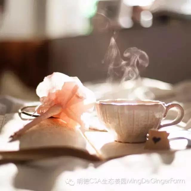 生姜养生法(7)石原式 “生姜红茶”-自然医学养生