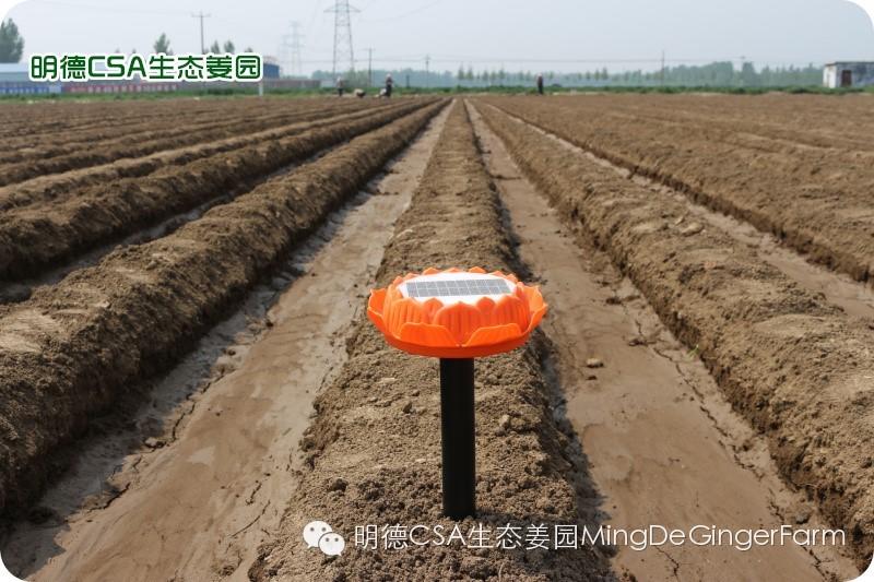 做农业必懂的19个创意流行概念