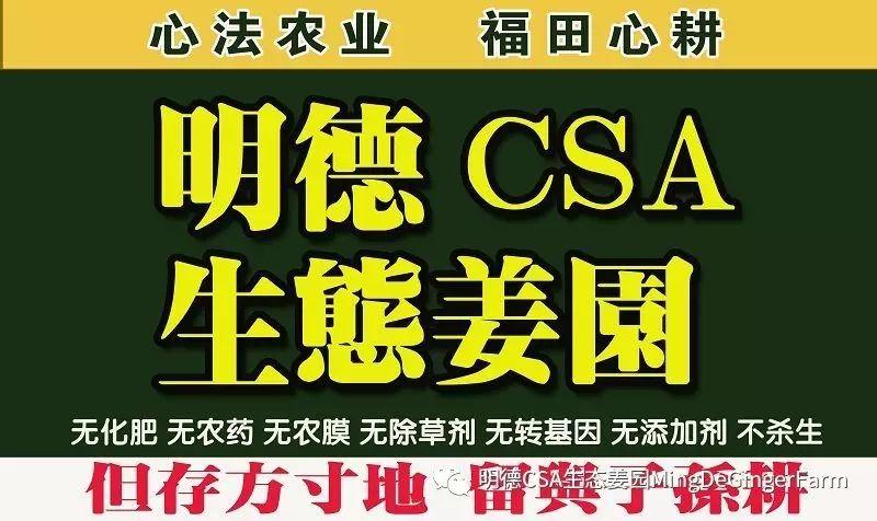 《一个干净的地球》 《一个干净的地球》