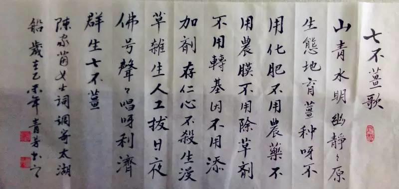 心法农业 明德CSA生态姜园