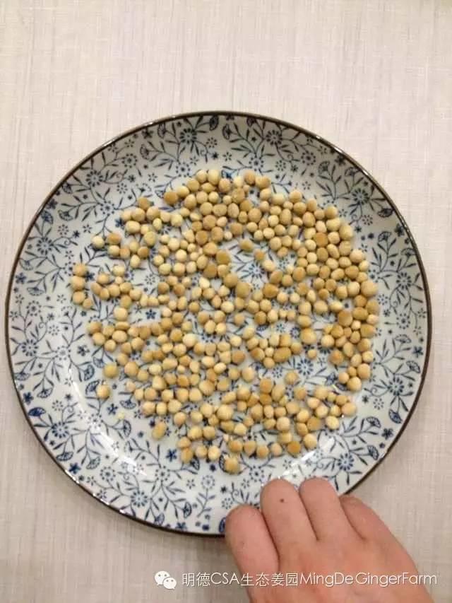 懒人自制姜丸记-附姜丸制作方法