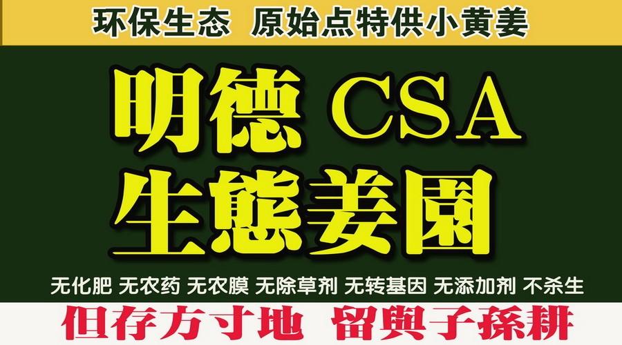 宝寿生姜辣万年 宝寿生姜辣万年