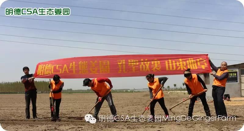 姜园5月新入股东王丽华 介绍。感恩纯朴 利他 服务 奉献的82岁的呼和浩特原始点志愿者！