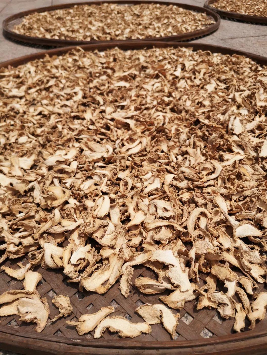 官宣：关于九蒸九晒干姜粉，目前为止最为详尽！