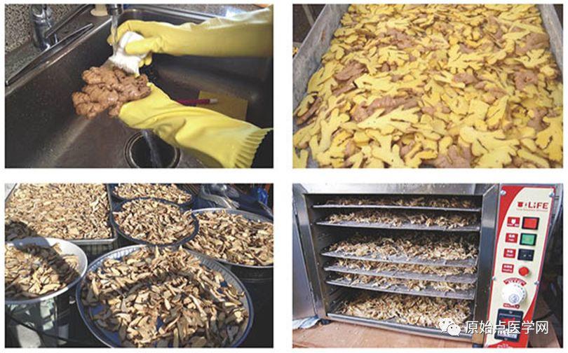 精华汇总 | 原始点医学之姜的应用(新增灌肠部分)201808第13版-七不姜 生姜养生网-明德CSA生态姜园&明安农业