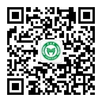 张医师示范姜粉泥按推-基金会  张钊汉原始点健康资讯网  2019-09-23-七不姜 生姜养生网-明德CSA生态姜园&明安农业