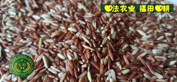预定有礼-订购大米送生姜。2022年秋收浙江仙居新米⑤红籼米④黑米⑨勇优12粳米⑥糯米⑩香米华优18籼米 ⑾嘉丰优2号籼米 预定有礼-订购大米送生姜。2022年秋收浙江仙居新米⑤红籼米④黑米⑨勇优12粳米⑥糯米⑩香米华优18籼米 ⑾嘉丰优2号籼米