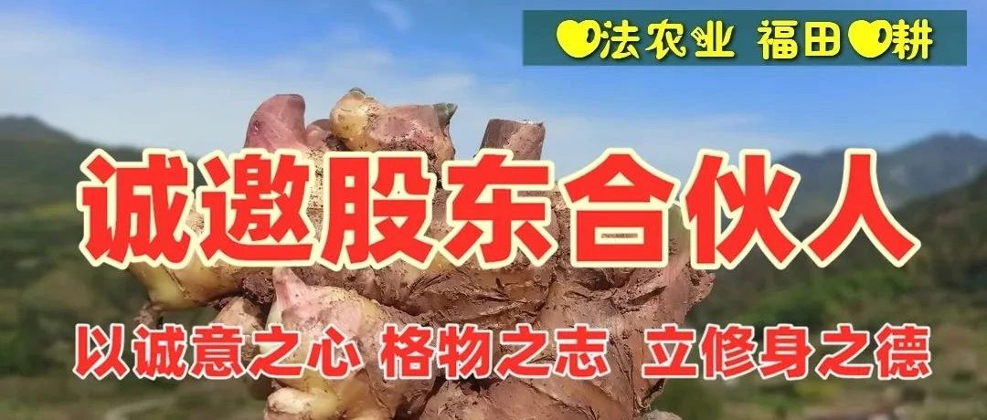 明德CSA生態姜園 - 一個革新的農業未來!2024年心農人 七不姜姜園的新股東介紹-七不姜 生姜養生網-明德CSA生態姜園&明安農業
