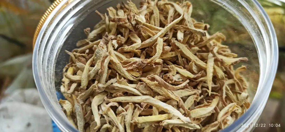 明安农业五月种七不水稻了。六月端午别忘吃粽子。买糯米要七不种植的...自然生态超越有机！七不姜优惠发劵