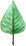 明安农业五月种七不水稻了。六月端午别忘吃粽子。买糯米要七不种植的...自然生态超越有机！七不姜优惠发劵