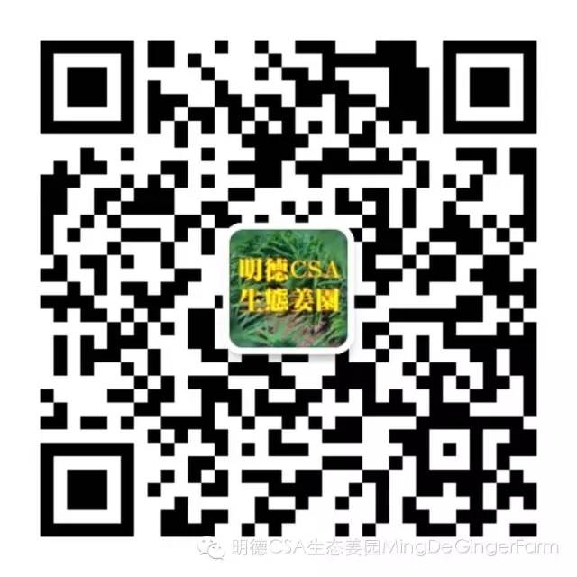明安农业五月种七不水稻了。六月端午别忘吃粽子。买糯米要七不种植的...自然生态超越有机！七不姜优惠发劵