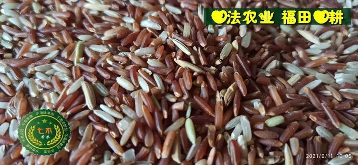 预定有礼-订购大米送生姜。2022年秋收浙江仙居新米⑤红籼米④黑米⑨勇优12粳米⑥糯米⑩香米华优18籼米 ⑾嘉丰优2号籼米 预定有礼-订购大米送生姜。2022年秋收浙江仙居新米⑤红籼米④黑米⑨勇优12粳米⑥糯米⑩香米华优18籼米 ⑾嘉丰优2号籼米