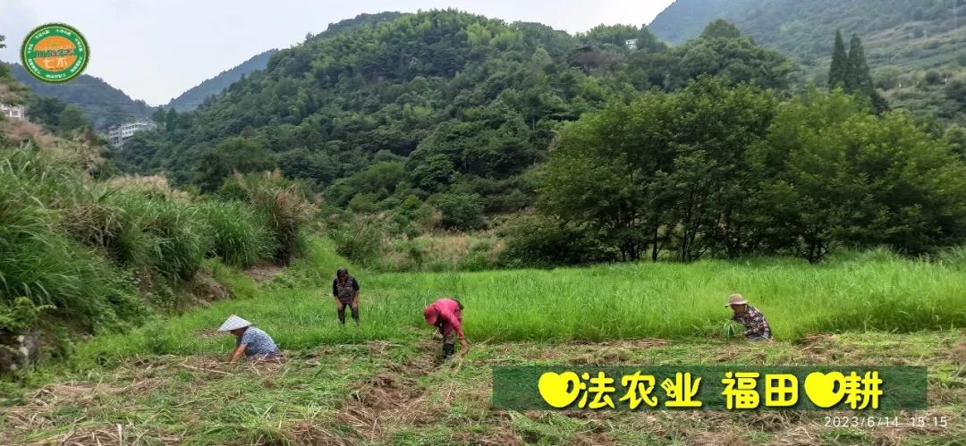 (●'◡'●)6月庆祝春播春种顺利完成！ 姜膏姜油 端午糯米 会员积分换购特惠 ，2023预售大米 会员折上折 6.18折