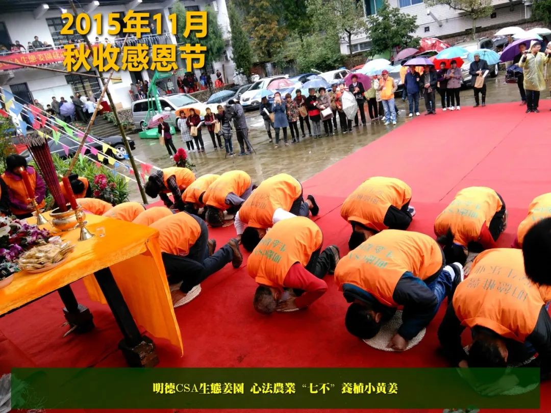 秋收节感恩什么？（浙江仙居七不姜 欢喜农耕 心悦自然 ）