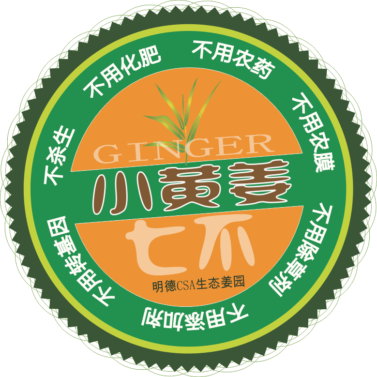 明安农业五月种七不水稻了。六月端午别忘吃粽子。买糯米要七不种植的...自然生态超越有机！七不姜优惠发劵