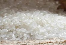 臻心話：這些關于大米的秘密，你一定不知道！-七不姜 生姜養生網-明德CSA生態姜園&明安農業