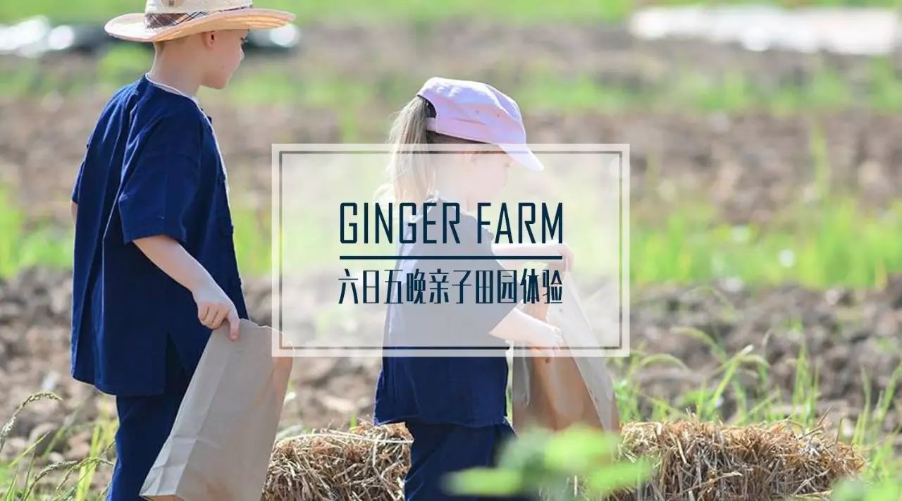 清邁 | 這家開業不久的親子農莊，太讓人動心。-七不姜 生姜養生網-明德CSA生態姜園&明安農業