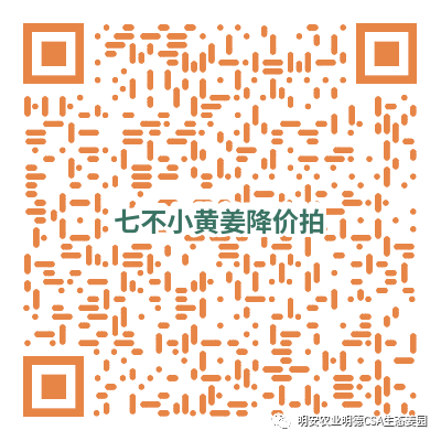 七不姜小黄姜 礼品卡 优惠劵 会员申请 折扣 积分2022年9月