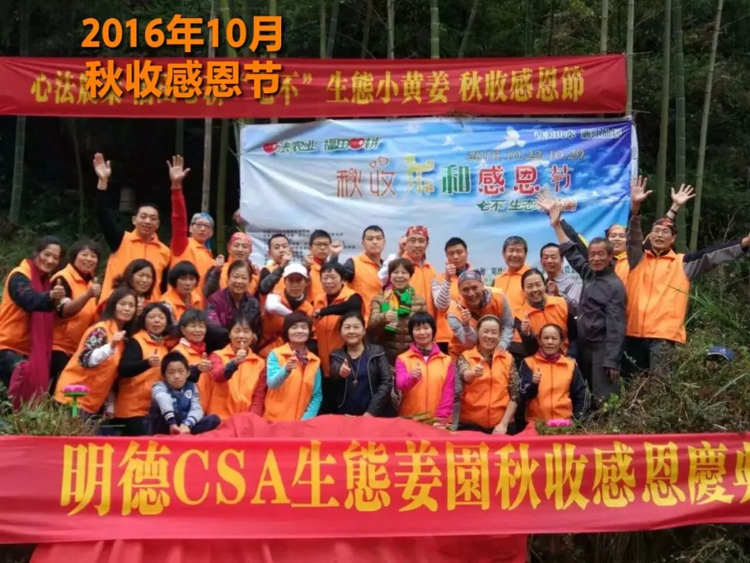 秋收节感恩什么？（浙江仙居七不姜 欢喜农耕 心悦自然 ）