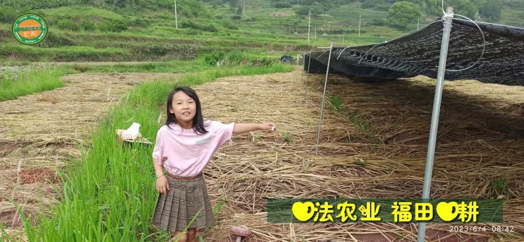 (●'◡'●)6月庆祝春播春种顺利完成！ 姜膏姜油 端午糯米 会员积分换购特惠 ，2023预售大米 会员折上折 6.18折