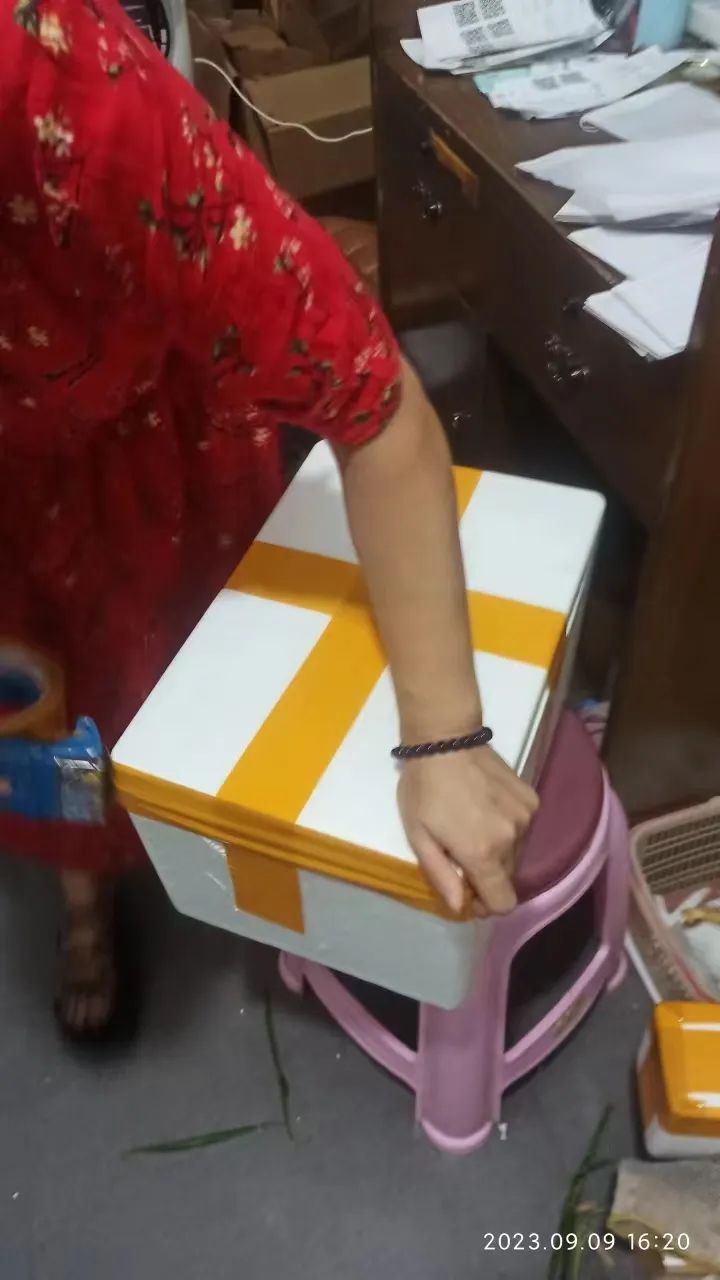 生姜赞歌-浙江仙居 七不小黄姜 鲜嫩姜 新鲜 超新上市 每周超鲜嫩姜2斤/5斤 生姜鲜姜2023年9月现采现发 生态自然