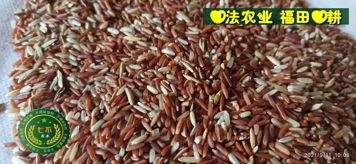 预定有礼-订购大米送生姜。2022年秋收浙江仙居新米⑤红籼米④黑米⑨勇优12粳米⑥糯米⑩香米华优18籼米 ⑾嘉丰优2号籼米 预定有礼-订购大米送生姜。2022年秋收浙江仙居新米⑤红籼米④黑米⑨勇优12粳米⑥糯米⑩香米华优18籼米 ⑾嘉丰优2号籼米