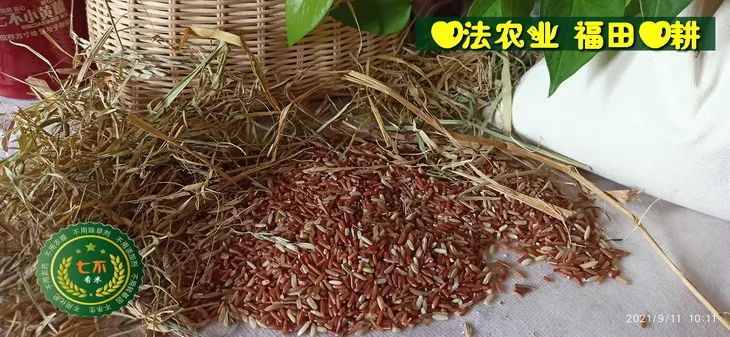 预定有礼-订购大米送生姜。2022年秋收浙江仙居新米⑤红籼米④黑米⑨勇优12粳米⑥糯米⑩香米华优18籼米 ⑾嘉丰优2号籼米 预定有礼-订购大米送生姜。2022年秋收浙江仙居新米⑤红籼米④黑米⑨勇优12粳米⑥糯米⑩香米华优18籼米 ⑾嘉丰优2号籼米