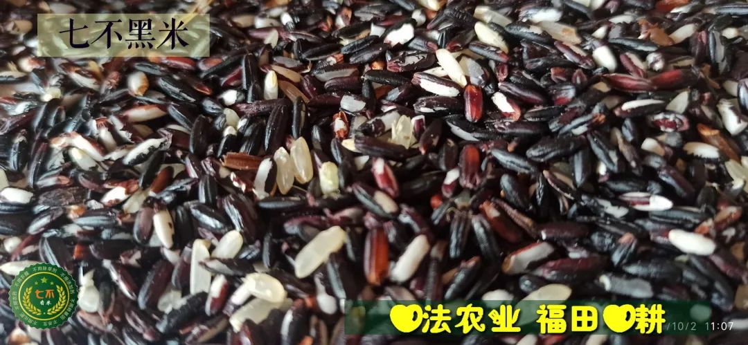 预定有礼-订购大米送生姜。2022年秋收浙江仙居新米⑤红籼米④黑米⑨勇优12粳米⑥糯米⑩香米华优18籼米 ⑾嘉丰优2号籼米 预定有礼-订购大米送生姜。2022年秋收浙江仙居新米⑤红籼米④黑米⑨勇优12粳米⑥糯米⑩香米华优18籼米 ⑾嘉丰优2号籼米